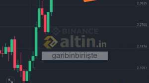 garibinbiriite, 20.3.2025 22:03:48 Tarihli Grafik