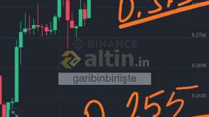 garibinbiriite, 21.3.2025 11:14:16 Tarihli Grafik