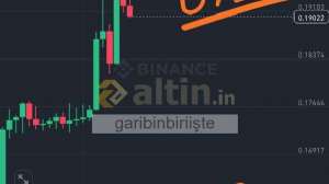 garibinbiriite, 22.3.2025 12:15:57 Tarihli Grafik