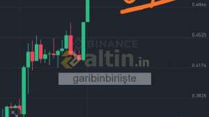 garibinbiriite, 22.3.2025 03:09:17 Tarihli Grafik