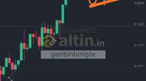 garibinbiriite, 24.3.2025 15:48:35 Tarihli Grafik