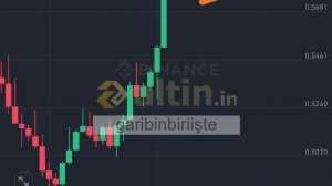 garibinbiriite, 24.3.2025 12:11:16 Tarihli Grafik
