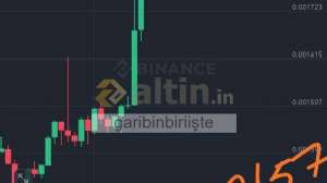 garibinbiriite, 24.3.2025 17:18:09 Tarihli Grafik