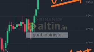 garibinbiriite, 24.3.2025 14:02:35 Tarihli Grafik