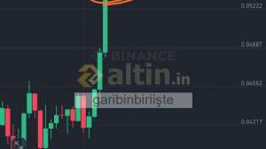 garibinbiriite, 24.3.2025 12:09:49 Tarihli Grafik
