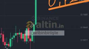 garibinbiriite, 24.3.2025 12:10:42 Tarihli Grafik