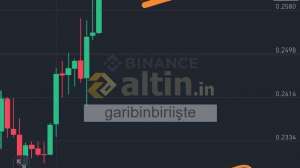 garibinbiriite, 25.3.2025 19:56:03 Tarihli Grafik