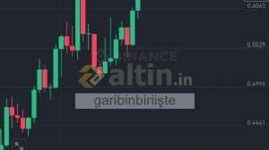 garibinbiriite, 26.3.2025 14:08:00 Tarihli Grafik