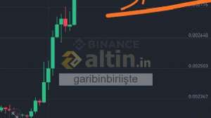 garibinbiriite, 26.3.2025 15:06:46 Tarihli Grafik
