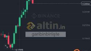 garibinbiriişte, 2.3.2025 13:16:26 Tarihli Grafik
