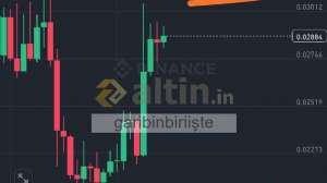 garibinbirii�te, 3.3.2025 20:10:21 Tarihli Grafik