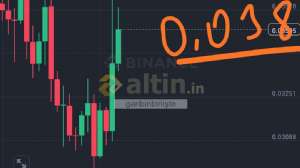 garibinbirii�te, 8.3.2025 16:56:53 Tarihli Grafik