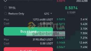 garibinbiriite, 5.4.2025 00:30:24 Tarihli Grafik