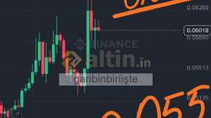 garibinbiriişte, 13.8.2025 00:34:16 Tarihli Grafik