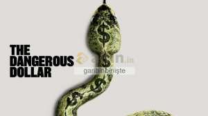 garibinbirii�te, 14.2.2026 20:35:58 Tarihli Grafik