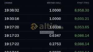 Avaxcan44, 18.1.2025 19:41:20 Tarihli Grafik
