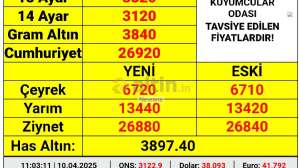 Nevrans, 10.4.2025 11:04:12 Tarihli Grafik