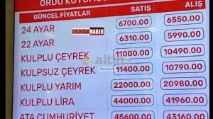 Nevrans, 20.1.2026 18:02:28 Tarihli Grafik