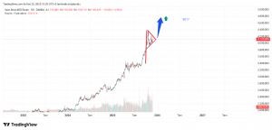 Mankind_traderxxl_2023, 25.11.2025 12:04:14 Tarihli Grafik