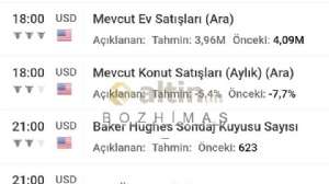 B_O_Z_H__M_A_S_, 17.1.2023 17:34:46 Tarihli Grafik