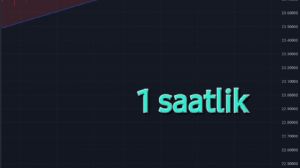 B_O_Z_H__M_A_S_, 7.3.2024 22:10:31 Tarihli Grafik