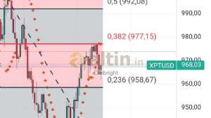 Diebright, 20.11.2024 15:46:35 Tarihli Grafik
