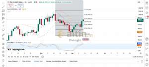 Diebright, 12.3.2025 13:13:35 Tarihli Grafik