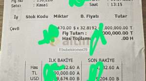 Ebubekiromer29, 10.7.2024 05:47:51 Tarihli Grafik
