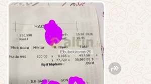 Ebubekiromer29, 16.7.2024 18:06:17 Tarihli Grafik
