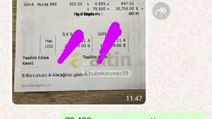Ebubekiromer29, 18.7.2024 23:41:42 Tarihli Grafik