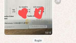 Ebubekiromer29, 4.7.2024 11:10:53 Tarihli Grafik