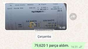 Ebubekiromer29, 16.8.2024 21:23:30 Tarihli Grafik