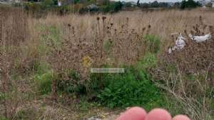 Ebubekiromer29, 19.11.2025 15:51:49 Tarihli Grafik