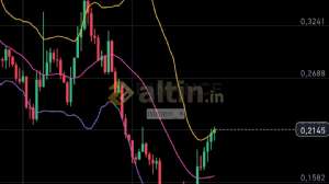 ntmen_�, 22.1.2025 16:38:20 Tarihli Grafik