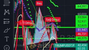 ntmen_�, 25.1.2025 04:11:19 Tarihli Grafik