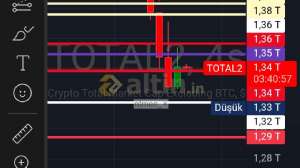 ntmen_�, 2.2.2025 11:20:25 Tarihli Grafik