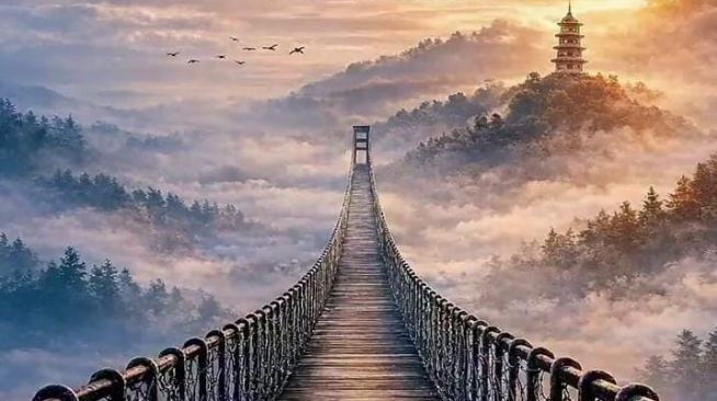 Strongwolf, 20.3.2026 15:30:03 Tarihli Grafik