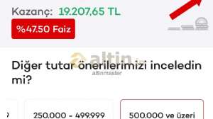 altinmaster, 17.8.2024 14:07:59 Tarihli Grafik