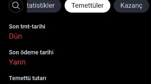 Bozreiss_, 27.6.2024 22:04:28 Tarihli Grafik
