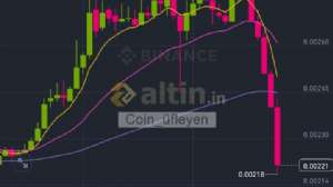 Coin_fleyen, 11.4.2025 21:37:35 Tarihli Grafik