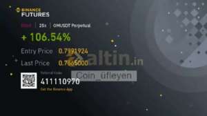 Coin_fleyen, 16.4.2025 19:53:39 Tarihli Grafik