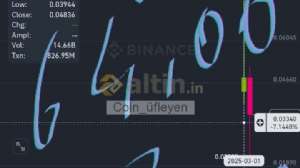 Coin_fleyen, 27.4.2025 00:06:12 Tarihli Grafik