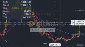 Coin_fleyen, 11.5.2025 22:43:01 Tarihli Grafik
