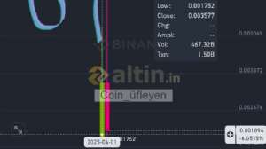 Coin_fleyen, 11.5.2025 14:53:59 Tarihli Grafik