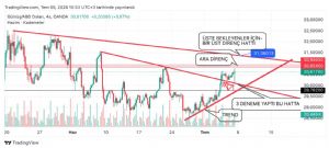 _G�m����_, 20.7.2024 00:23:58 Tarihli Grafik