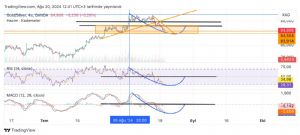 _G�m����_, 20.8.2024 12:55:34 Tarihli Grafik