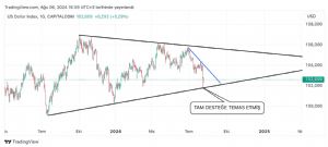 _Gümüşçü_, 6.8.2024 17:04:44 Tarihli Grafik