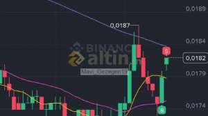 Mavi_Gezegen19, 20.2.2026 11:39:10 Tarihli Grafik