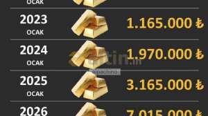 alpachino, 25.1.2026 00:40:16 Tarihli Grafik