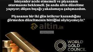 alpachino, 30.1.2026 17:19:19 Tarihli Grafik